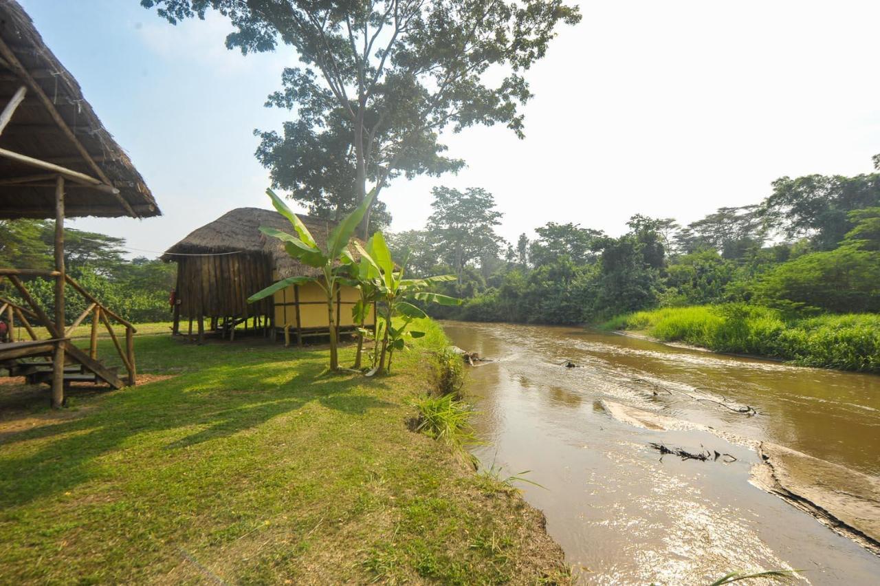 Bullbush River Camp Kihihi Kültér fotó